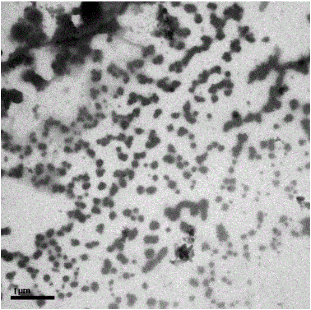 Application of nano-iron synthesized by tea leaves in p,p'-DDT removal