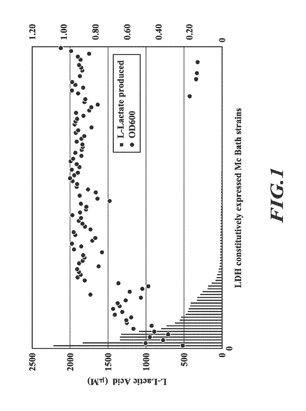 Compositions and methods for biological production of lactate from C<sub>1 </sub>compounds using lactate dehydrogenase transformants