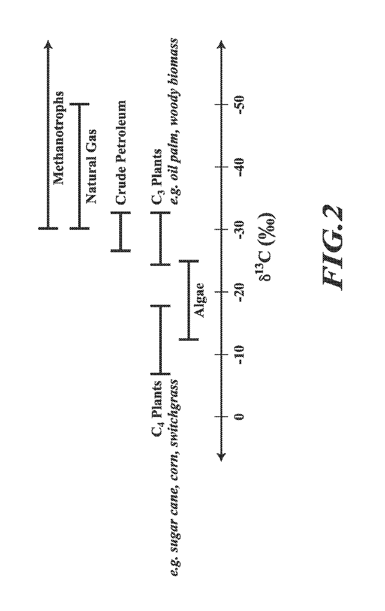 Compositions and methods for biological production of lactate from C<sub>1 </sub>compounds using lactate dehydrogenase transformants