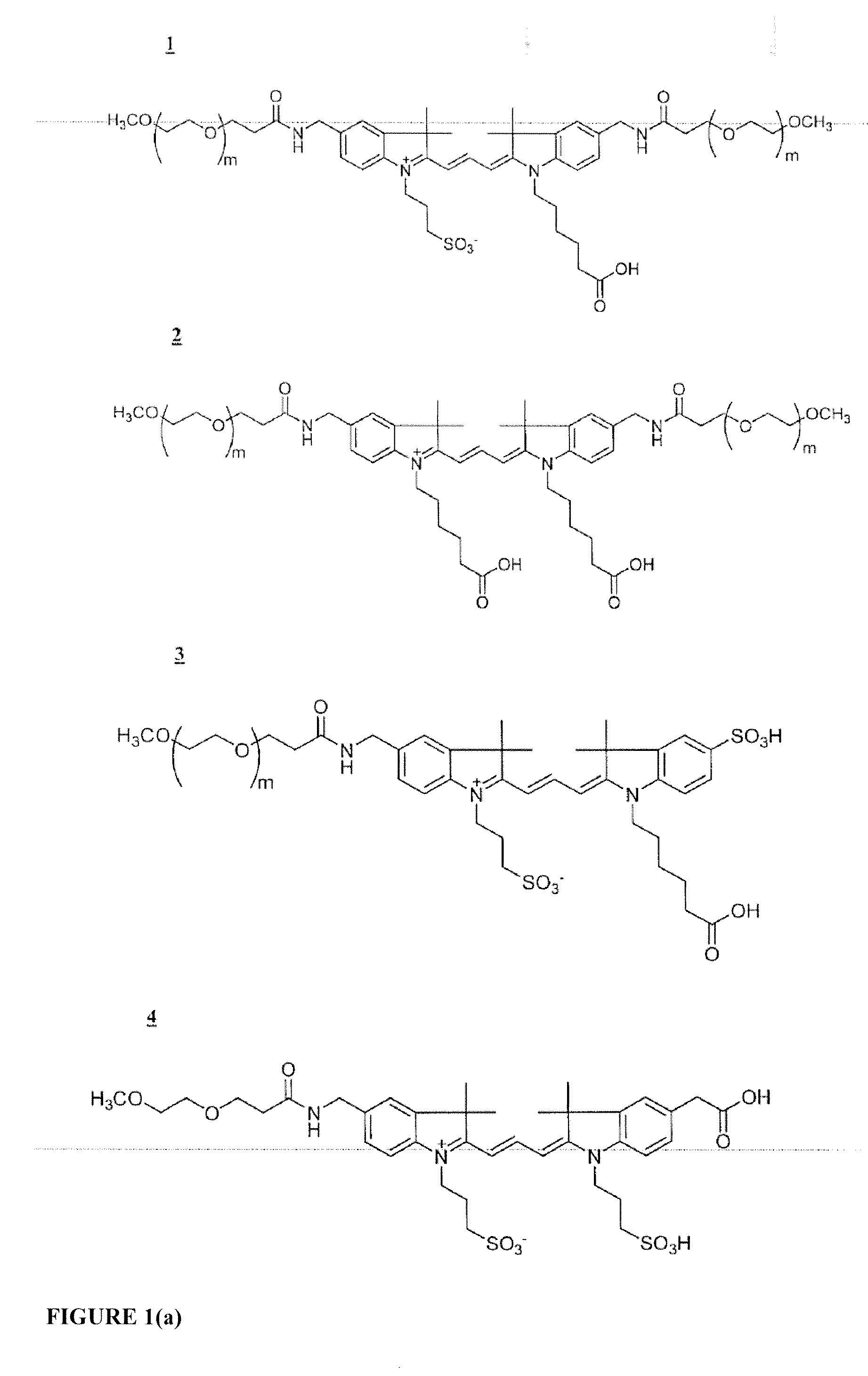 Functionalized cyanine dyes (PEG)