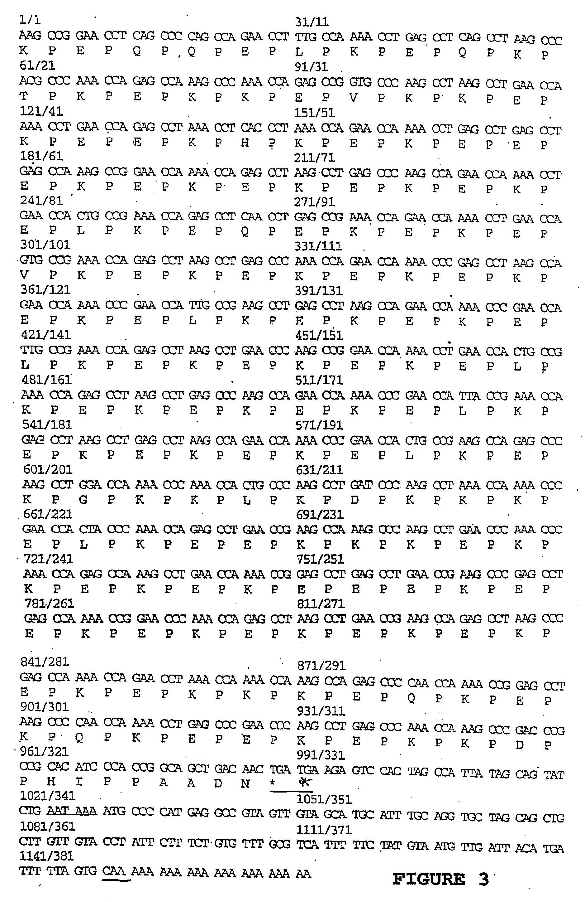 Methods and constructs for producing transgenic plants and methods of recovering expressed proteins