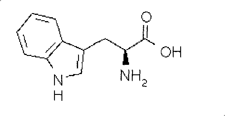 Method for preparing fermented liquid rich in L-tryptophan by utilizing rice