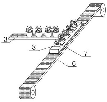 Mechanized fertilization method for chloranthus spicatus