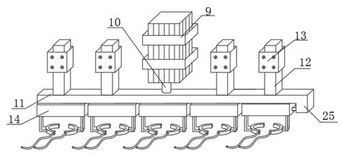 Mechanized fertilization method for chloranthus spicatus