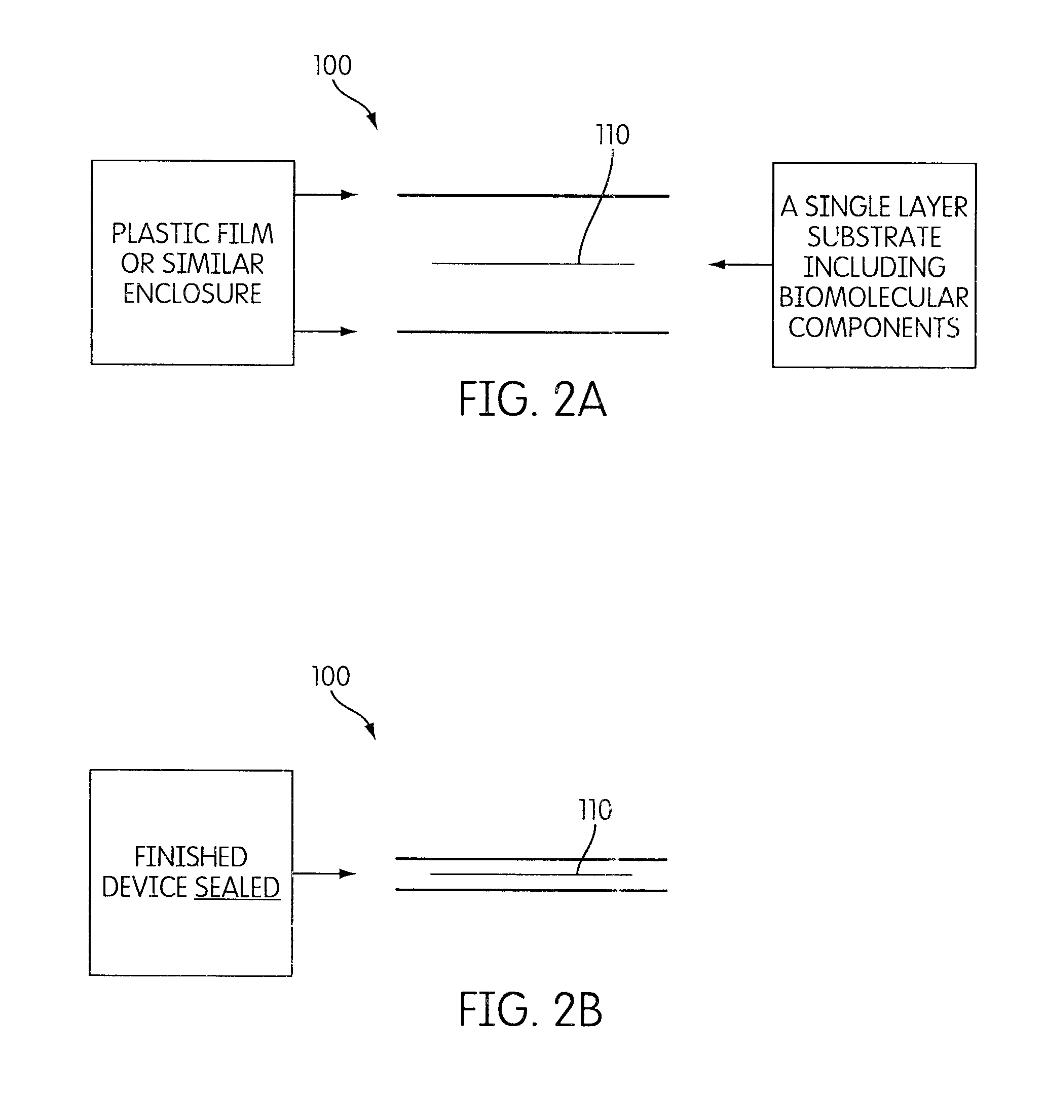 Biomolecular wearable apparatus