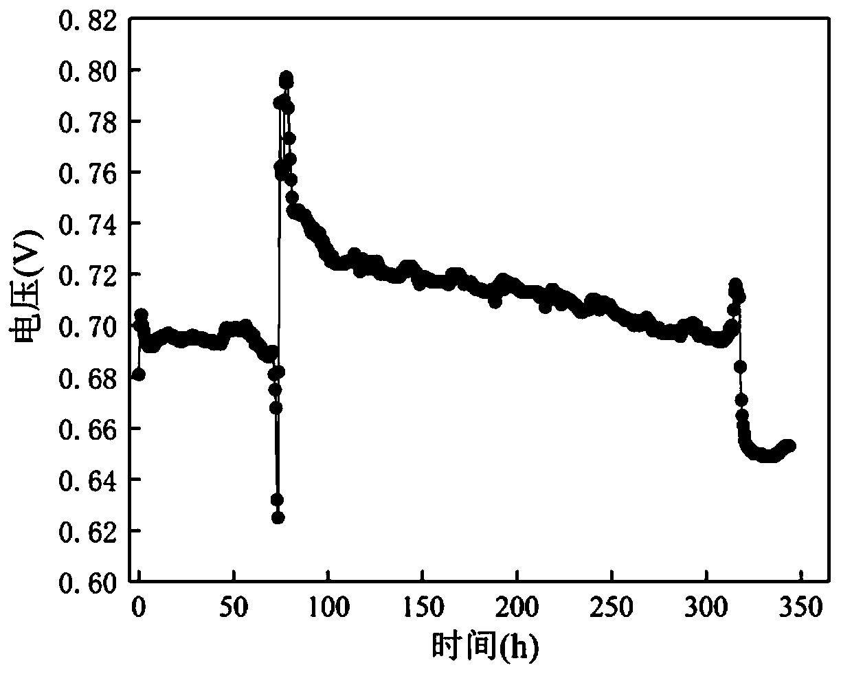 Anaerobic electrogenesis strain capable of degrading phenol and application thereof