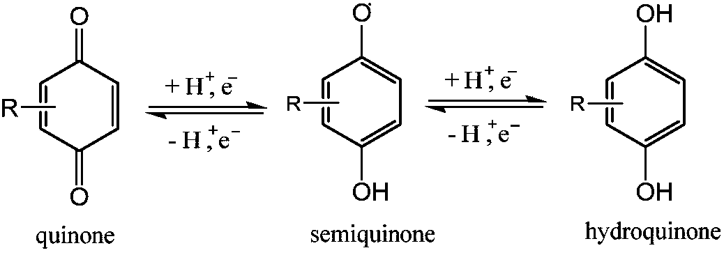 Electrochemical regeneration method of chloranil by taking halogen ions as electric catalyst