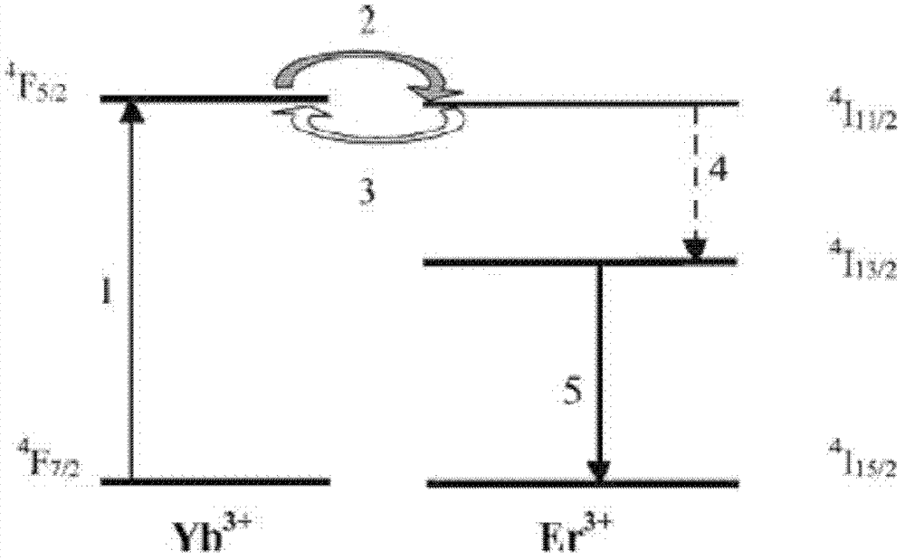 Ytterbium and erbium-doped yttrium scandium gallium garnet crystal and preparation method thereof