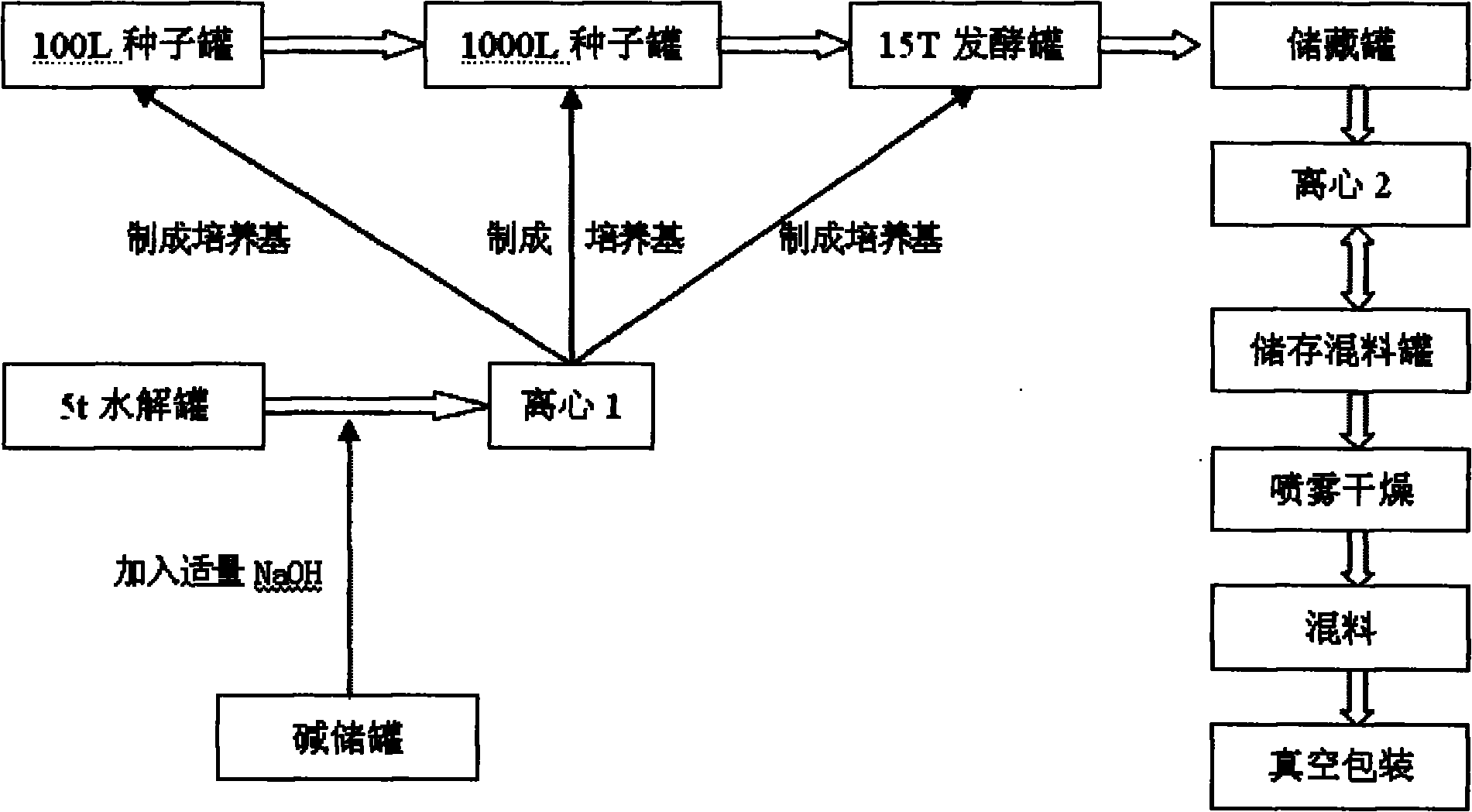 Fermentation production technique of schizogenesis chytrid