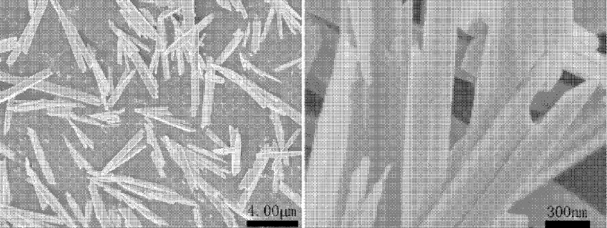 Preparation method of monoclinic-phase lead tungstate