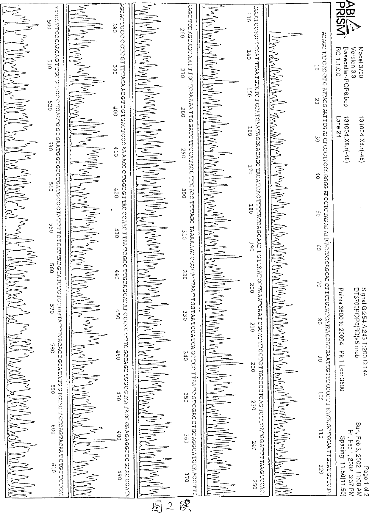 Determination of one section urea degraded mycoplasmos DNA sequence (5) specificity and its application