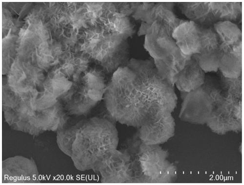 NiO/C@NiFeLDH composite material and preparation method and application thereof