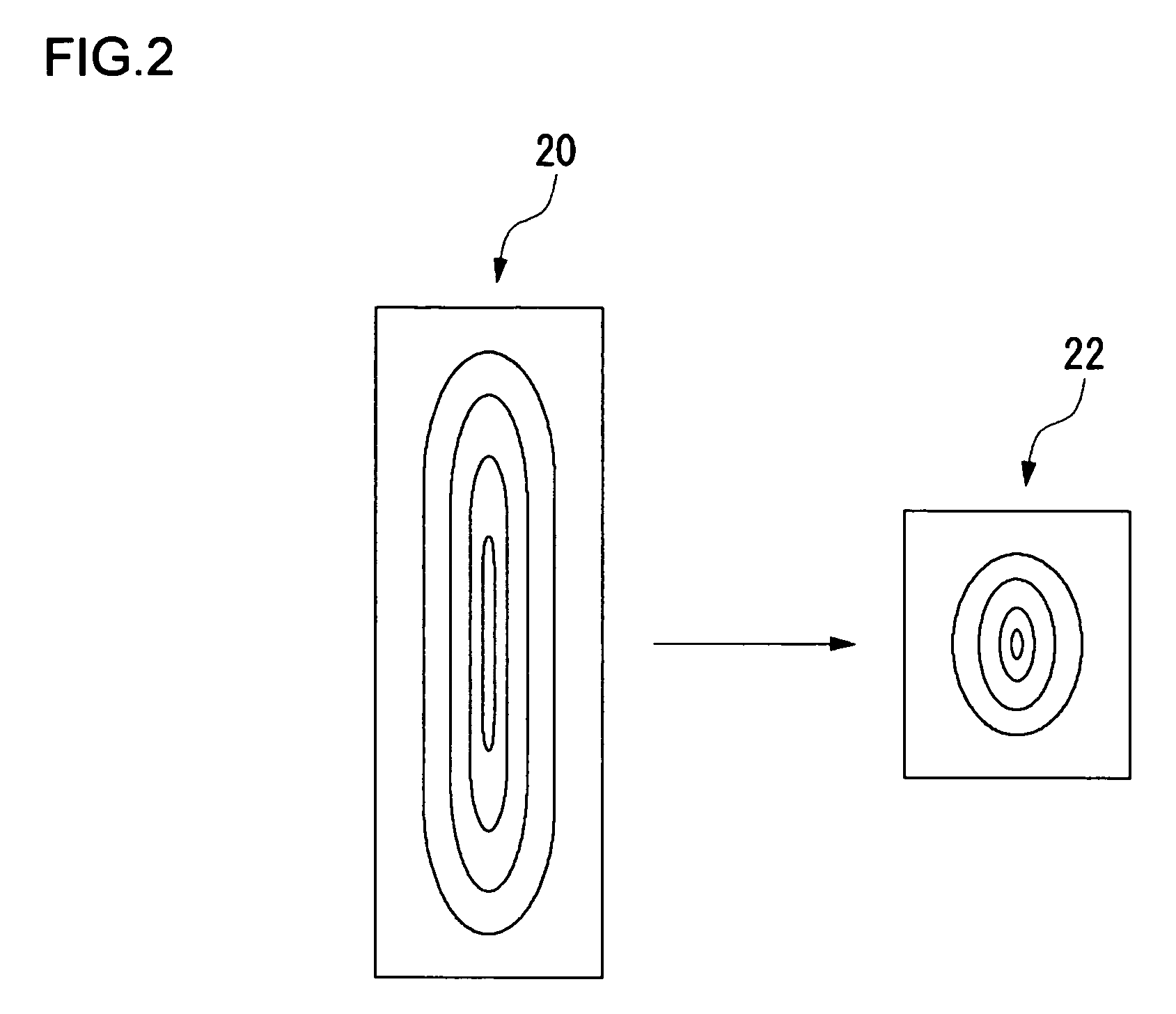 Biometric information processing apparatus and biometric information processing method