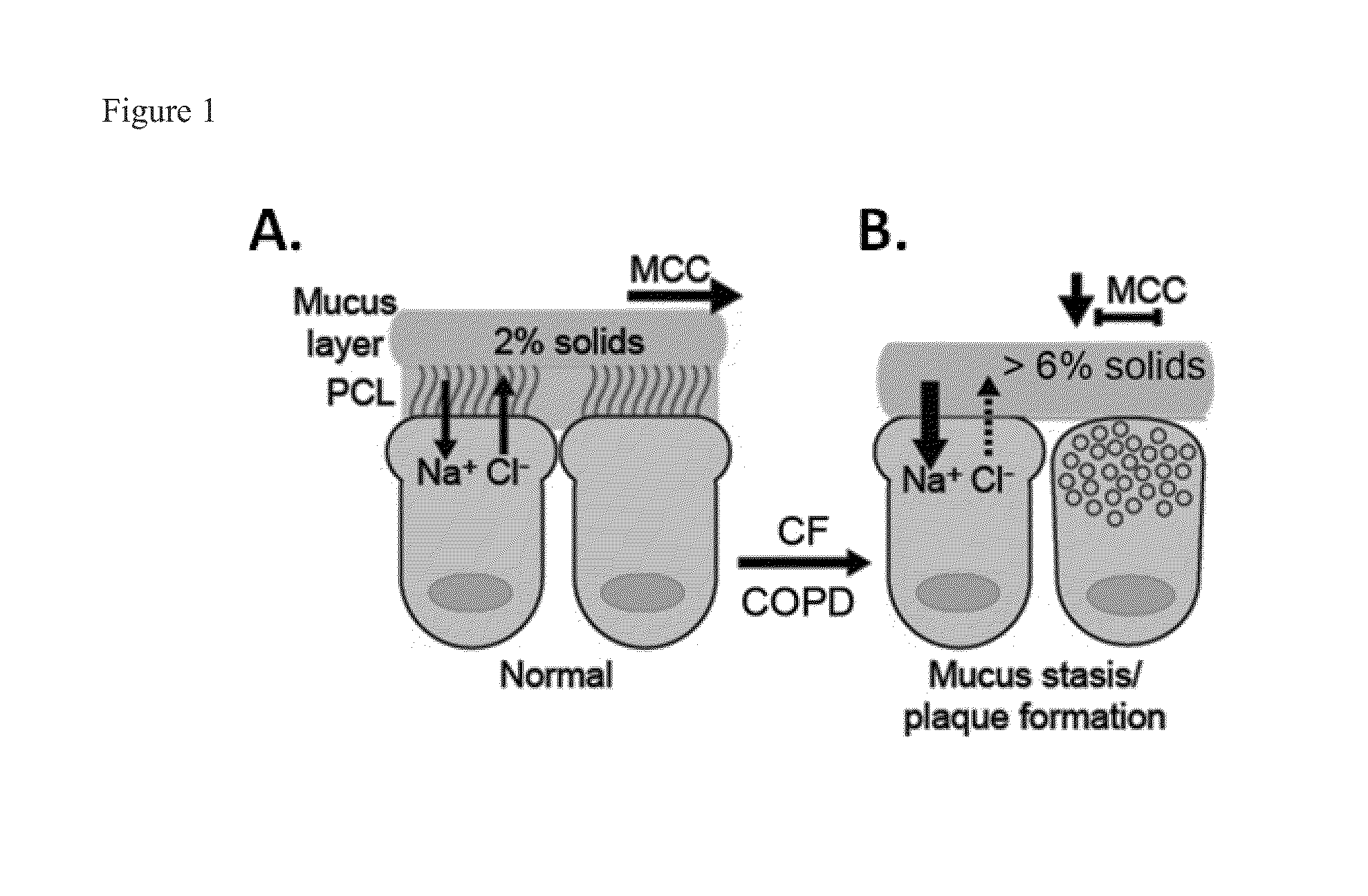 Novel monothiol mucolytic agents