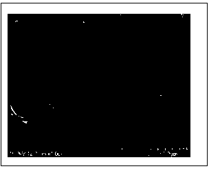 Sweetcane bark fiber composite and preparation method thereof