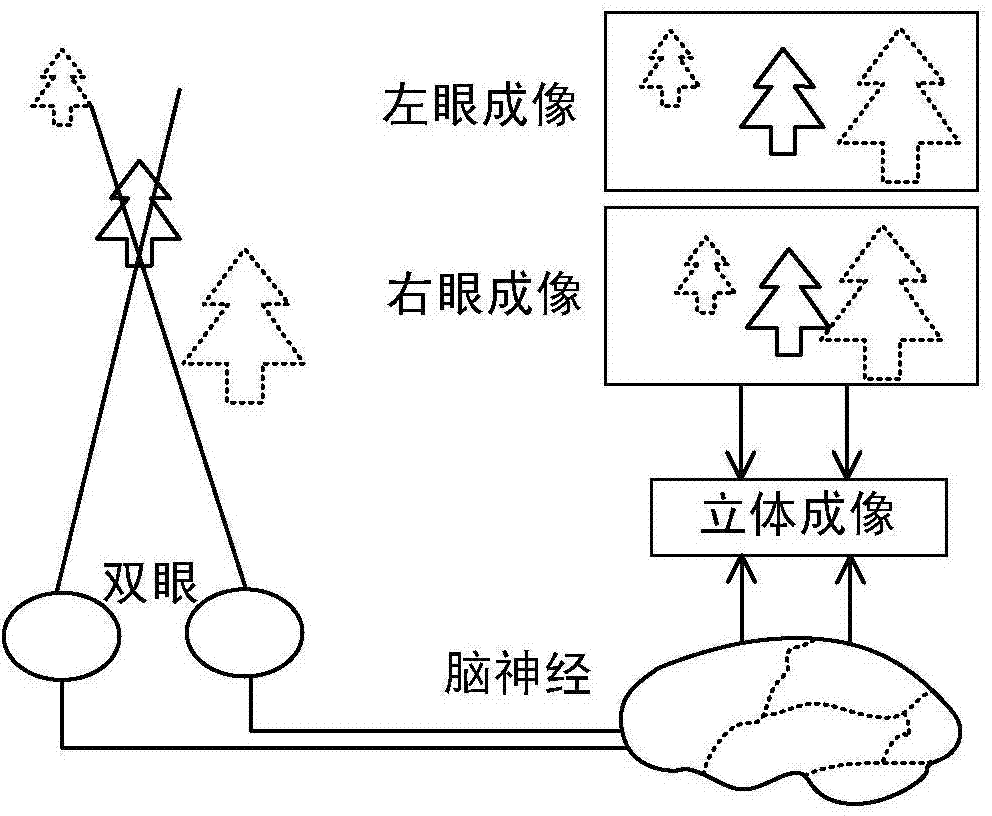 Angiography image acquisition device and method