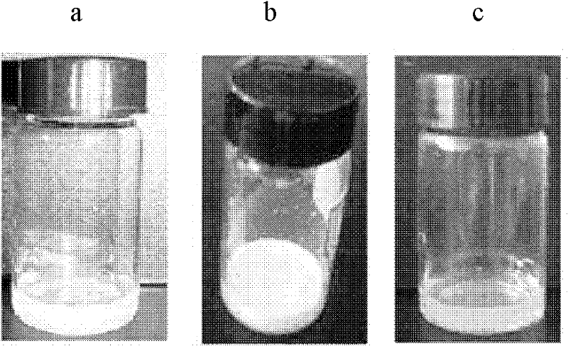 Tumor-targeting albumin nano-lyophilized powder injection preparation and preparation method thereof