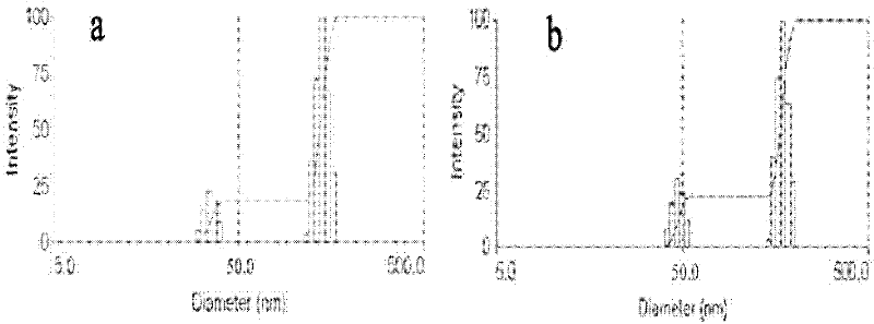 Tumor-targeting albumin nano-lyophilized powder injection preparation and preparation method thereof