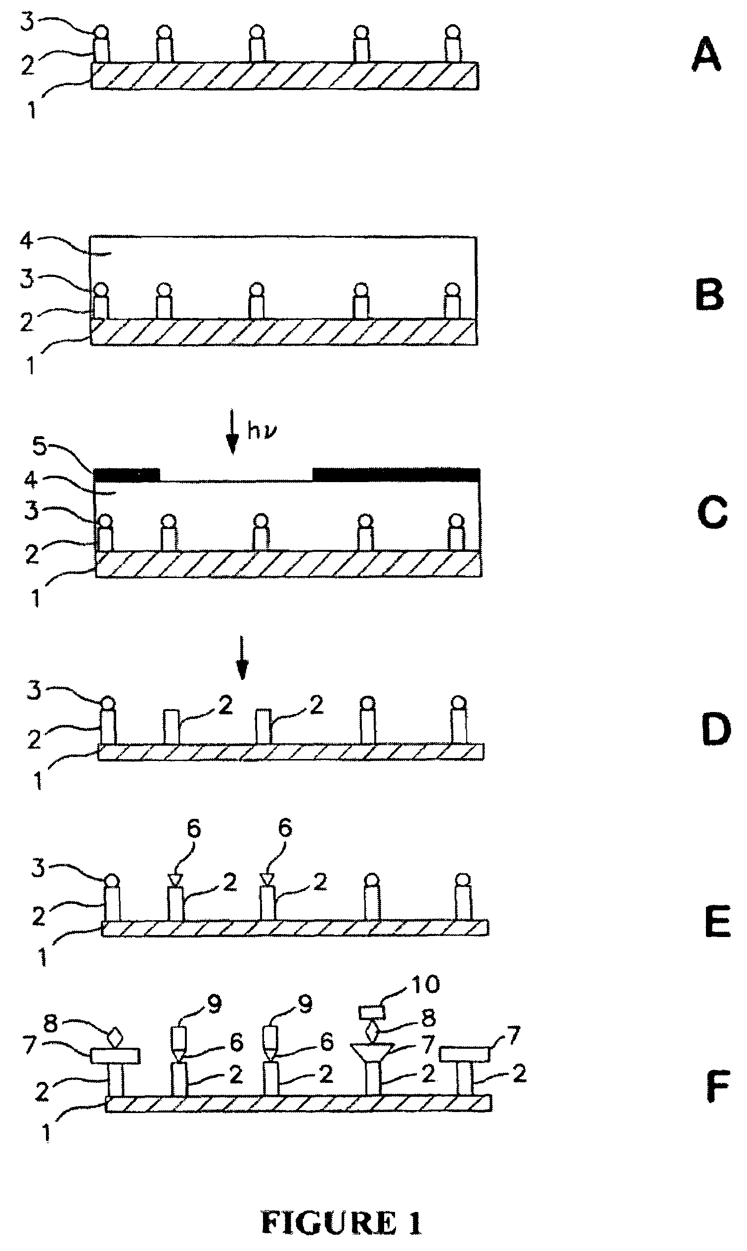 Molecular microarrays and helical peptides