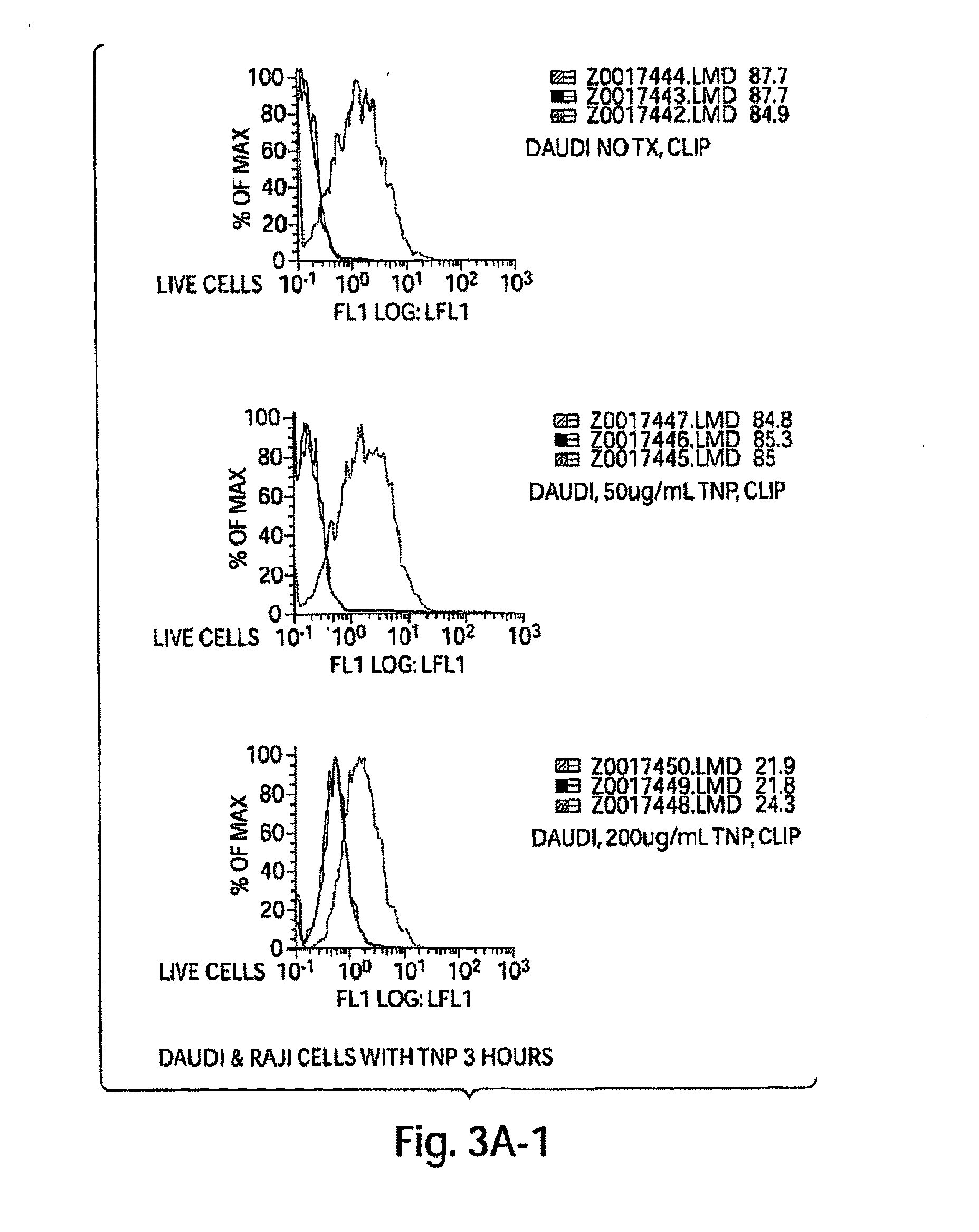 Competitive inhibitors of invariant chain expression and/or ectopic clip binding