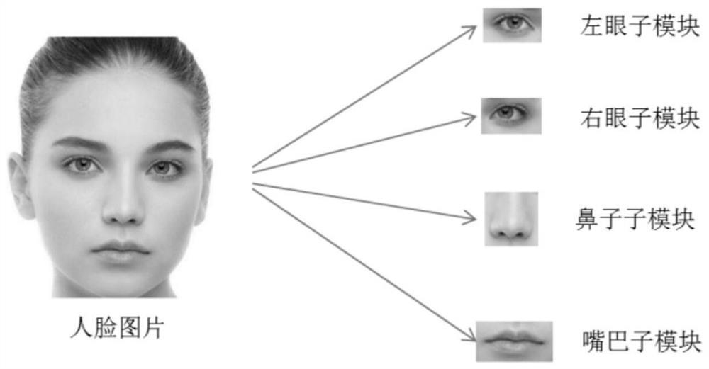 Face recognition method based on multi-patch and multi-channel joint feature selection learning based on CNN