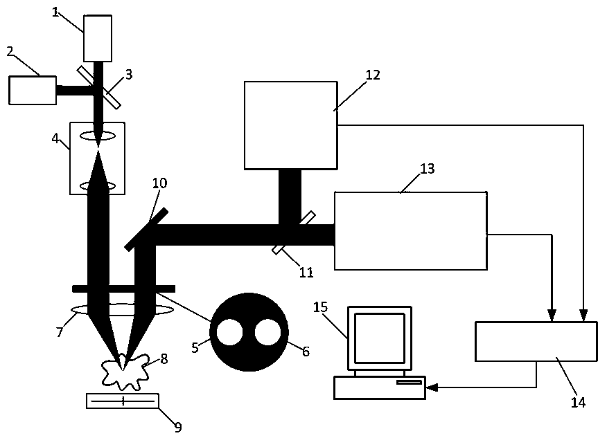 Spectral pupil confocal discrete fluorescence spectrum and fluorescence lifetime detection method and device