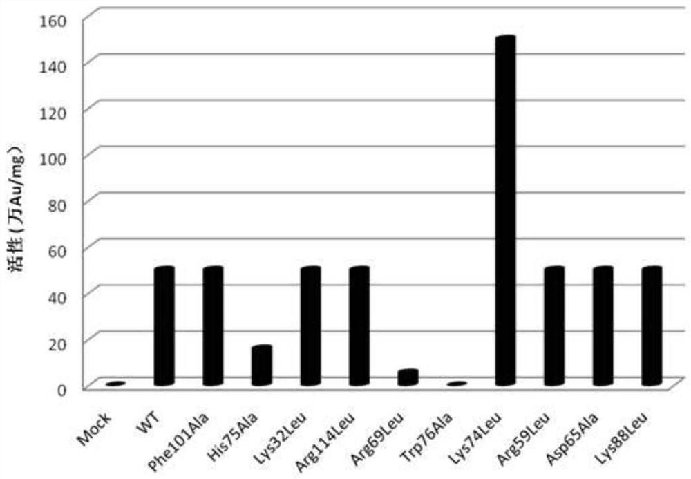 Nerve growth factor mutants