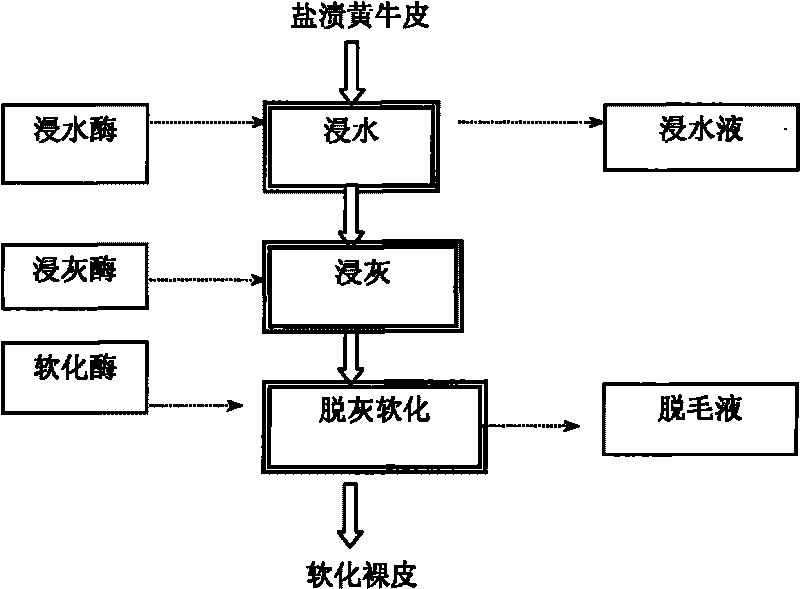 Leather making bio-pretreatment method