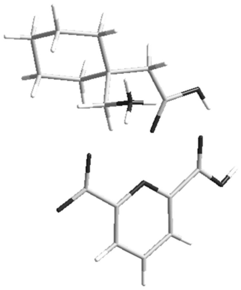 Salt of gabapentin and 2, 6-pyridine dicarboxylic acid as well as preparation method and application thereof