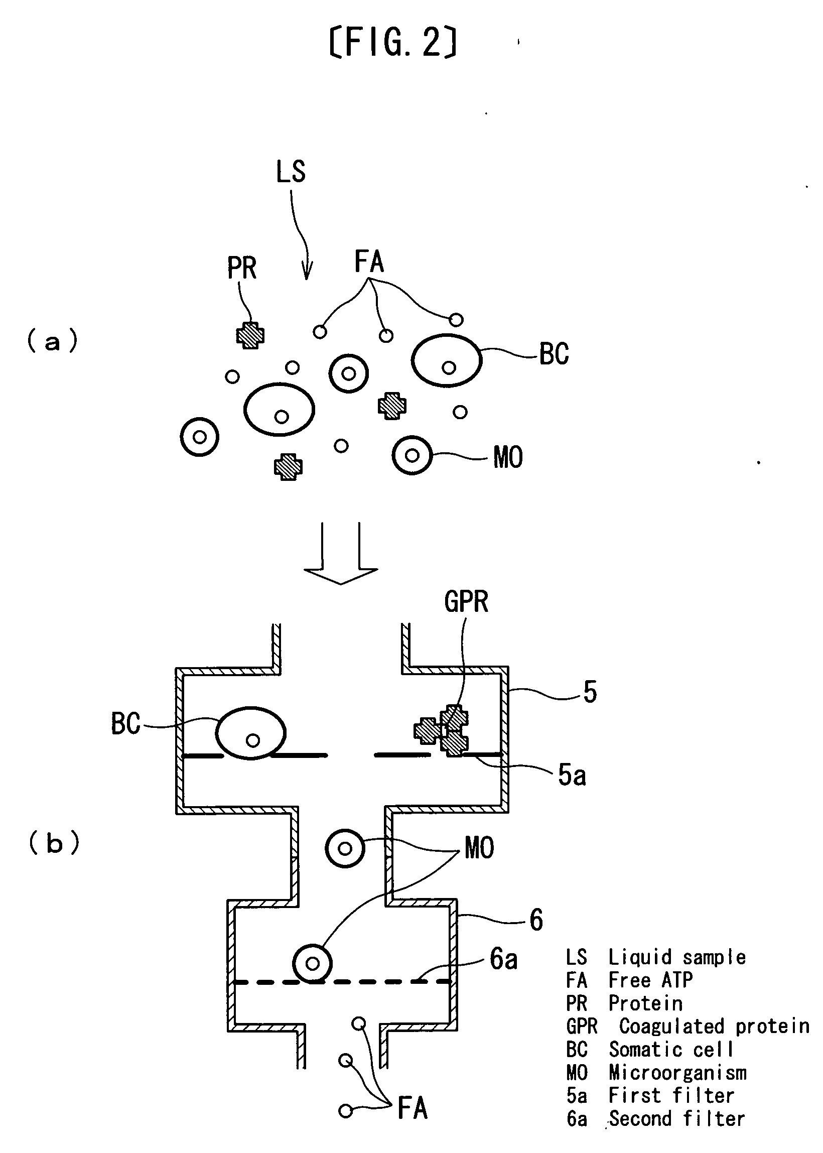 Measuring kit, measuring method and measuring apparatus of microorganism in liquid sample