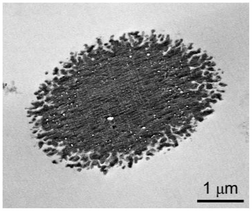 Ion exchange polymer microsphere and synthesis method thereof