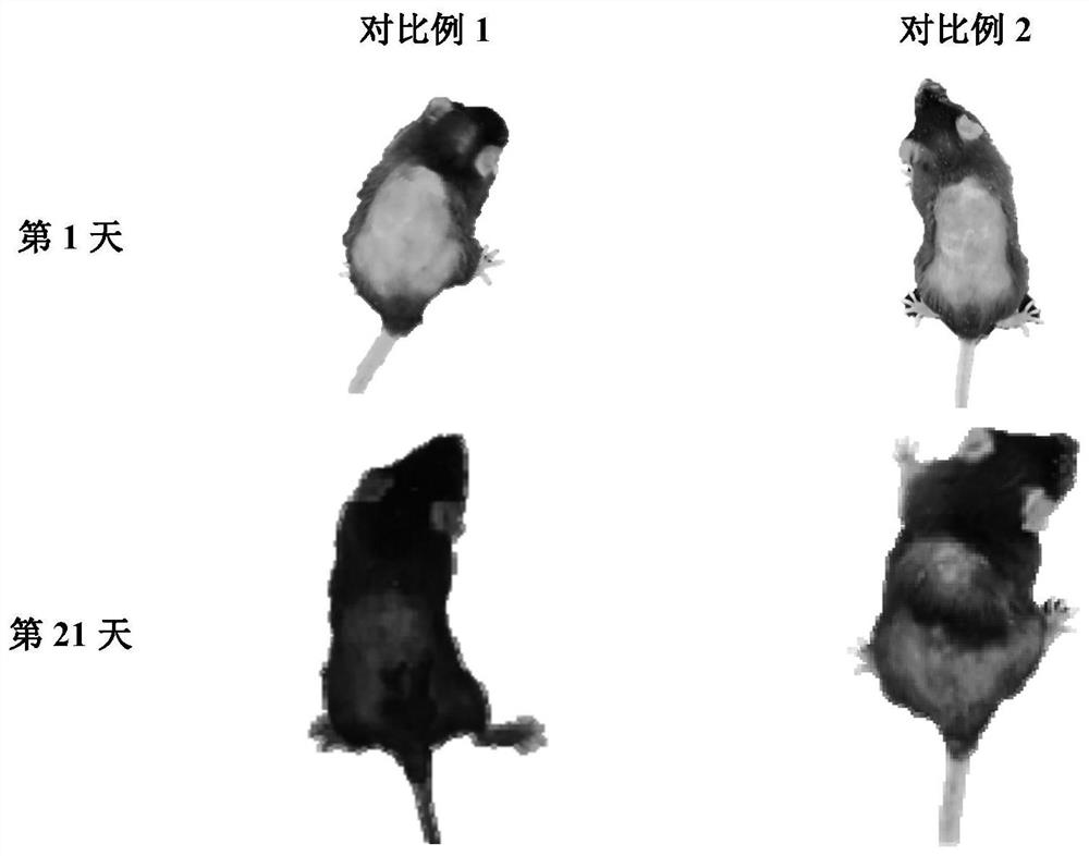 Traditional Chinese medicine composition for treating hair loss and its preparation method and application