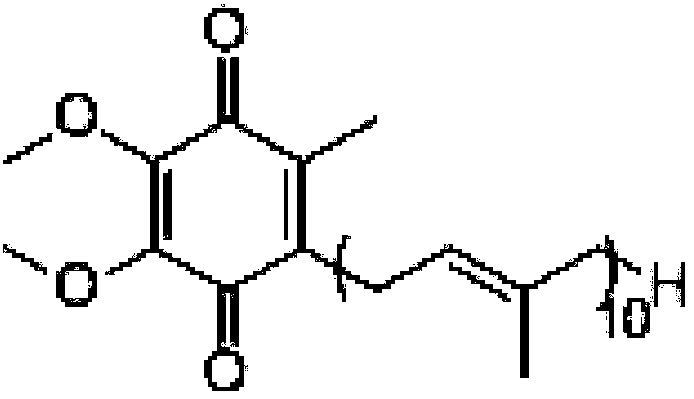 A process for extracting and isolating coenzyme q10 from fungus residue