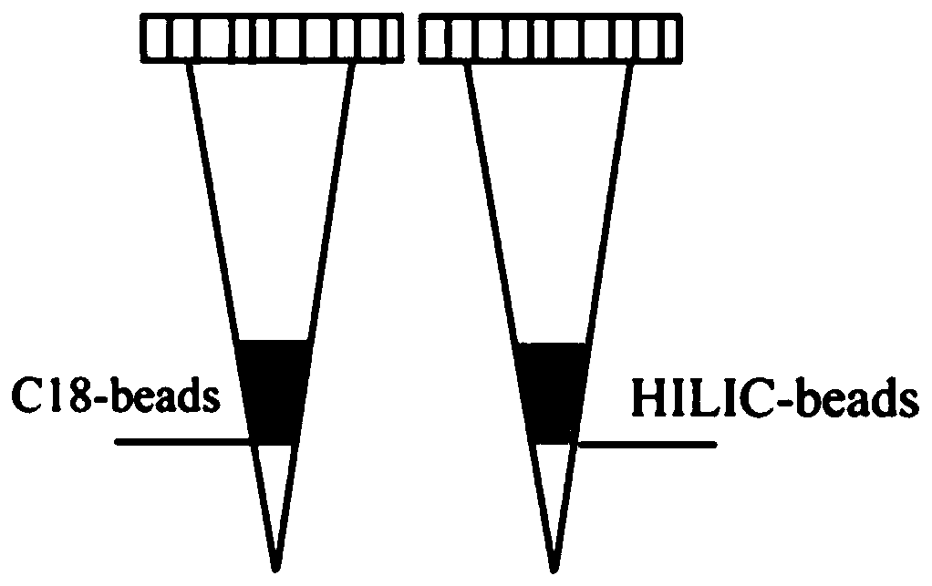 Device for preparing proteomics micro-sample