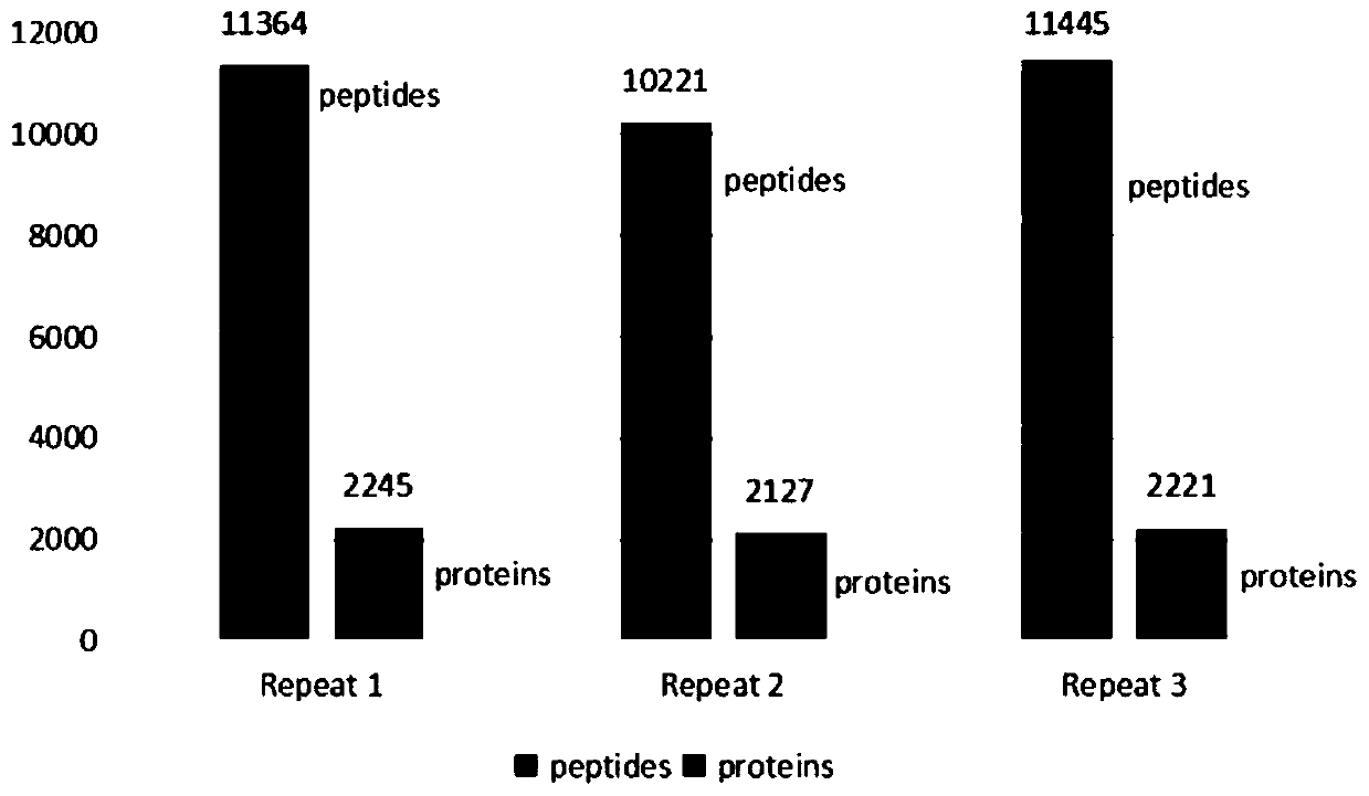 Device for preparing proteomics micro-sample