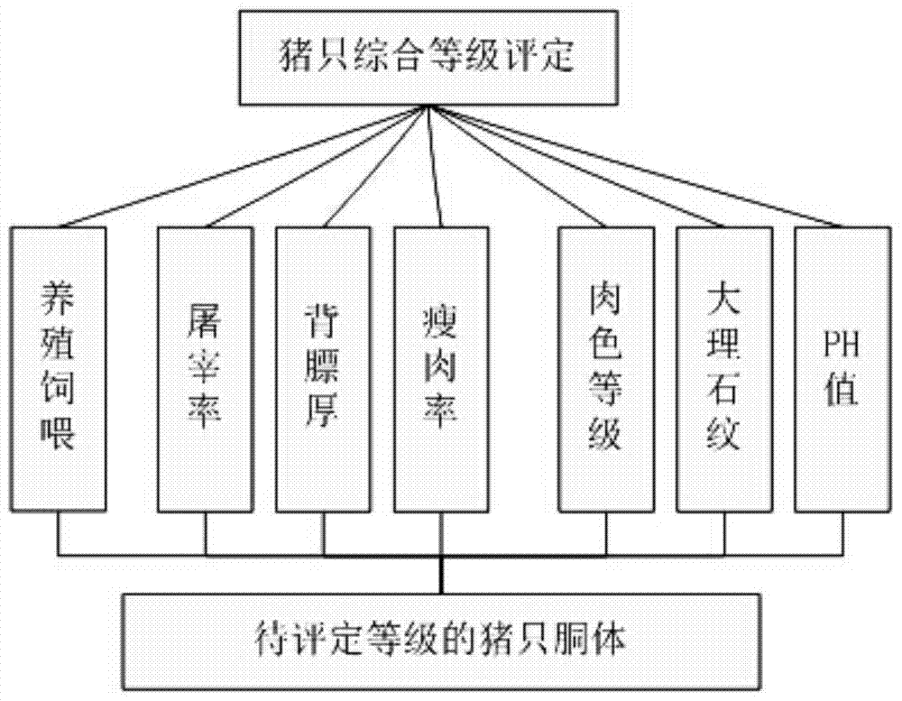 A Multivariate, Fine and Intelligent Carcass Meat Grading Method on Automatic Pig Slaughtering Line