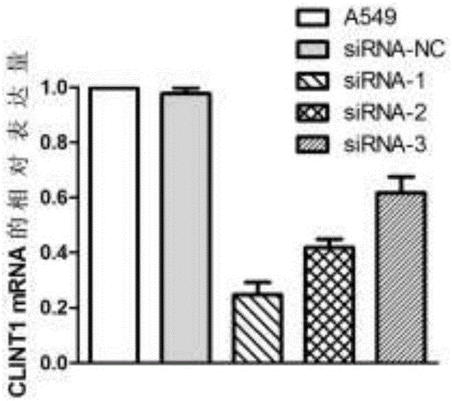 Application of biomarker as target to diagnosis and treatment of lung adenocarcinoma