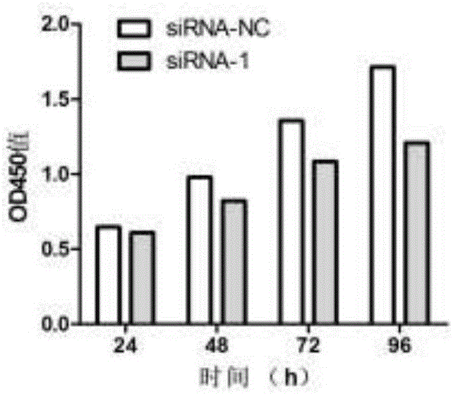 Application of biomarker as target to diagnosis and treatment of lung adenocarcinoma