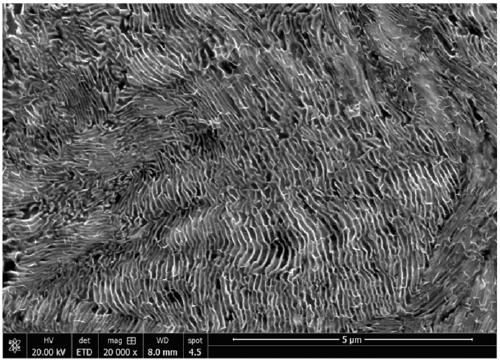 Zinc-coated steel wire for bridge cable with high-strength and high-torsion and preparation technology thereof