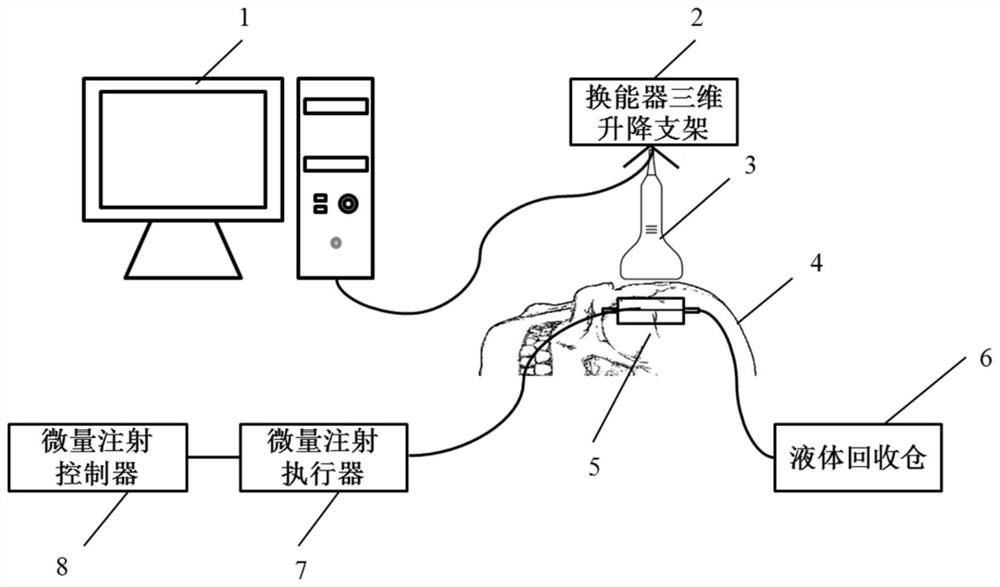 Device and method for estimating blood vessel blood flow velocity field through transcranial ultrasound