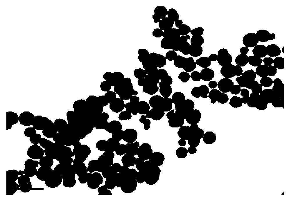 Method for analyzing isoflavone in soybeans and products thereof