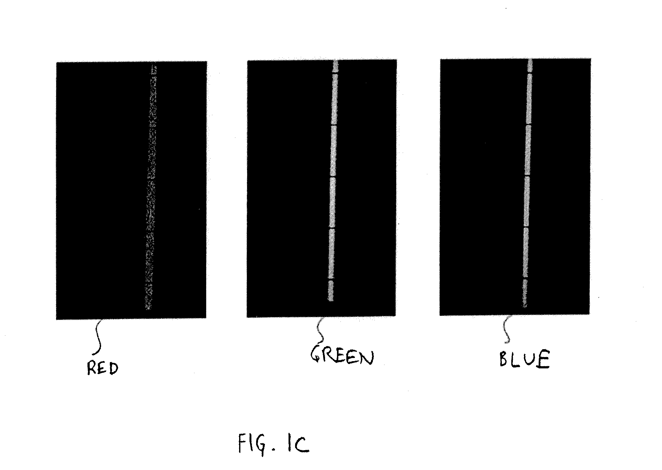 Capillary biosensor system and its method of use