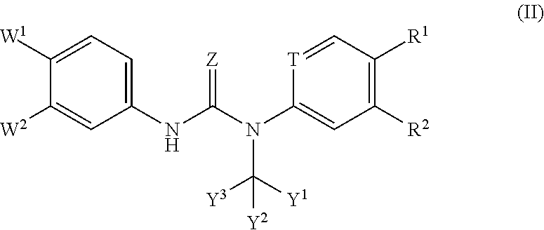 Substituted Phenylcarbamoyl Alkylamino Arene Compounds and N,N'-BIS-Arylurea Compounds