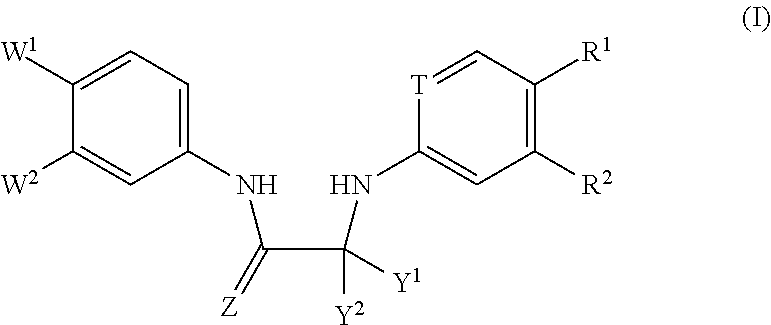 Substituted Phenylcarbamoyl Alkylamino Arene Compounds and N,N'-BIS-Arylurea Compounds