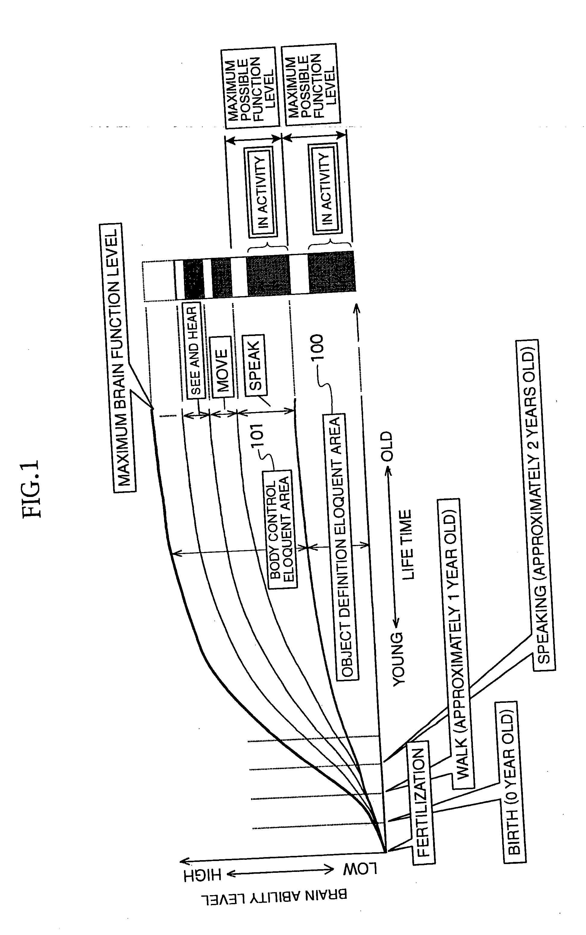 Chaologic brain function diagnosis apparatus