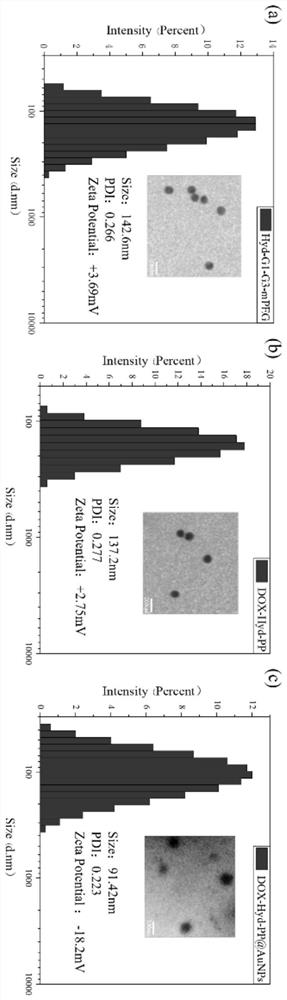 Nano-carrier for treatment of tumor through combination of chemotherapy and radiotherapy as well as preparation method and application of nano-carrier