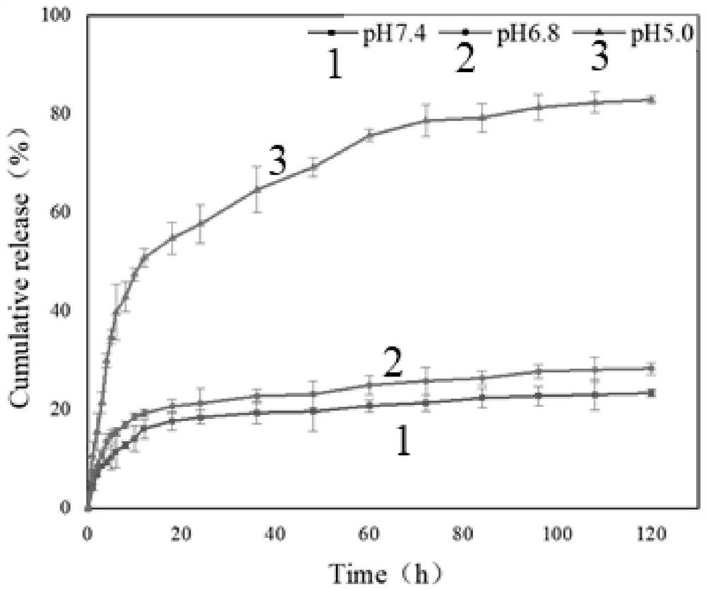 Nano-carrier for treatment of tumor through combination of chemotherapy and radiotherapy as well as preparation method and application of nano-carrier