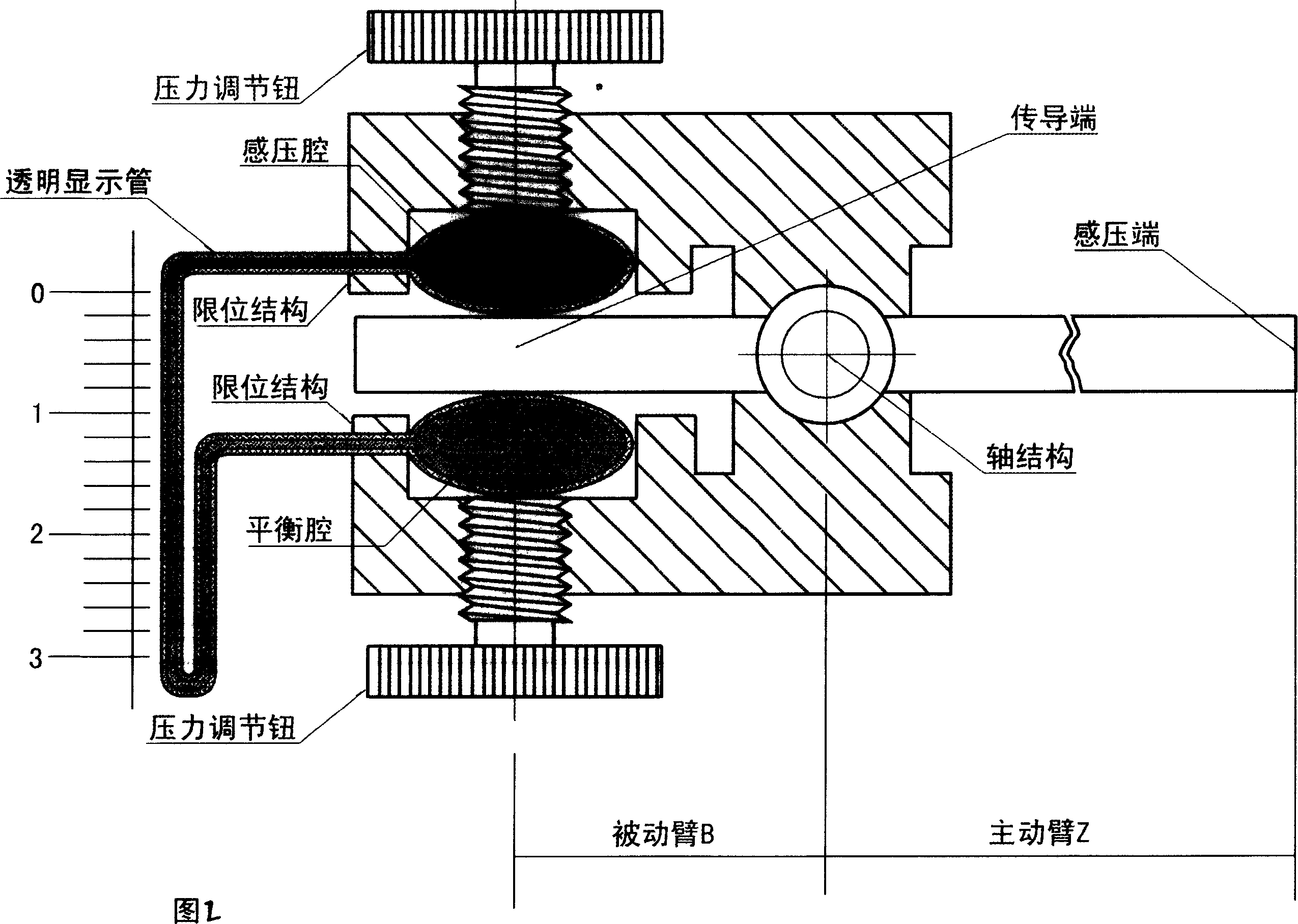 Duplex cavity bimedium pressure sensing and dynamic display integrated application technology