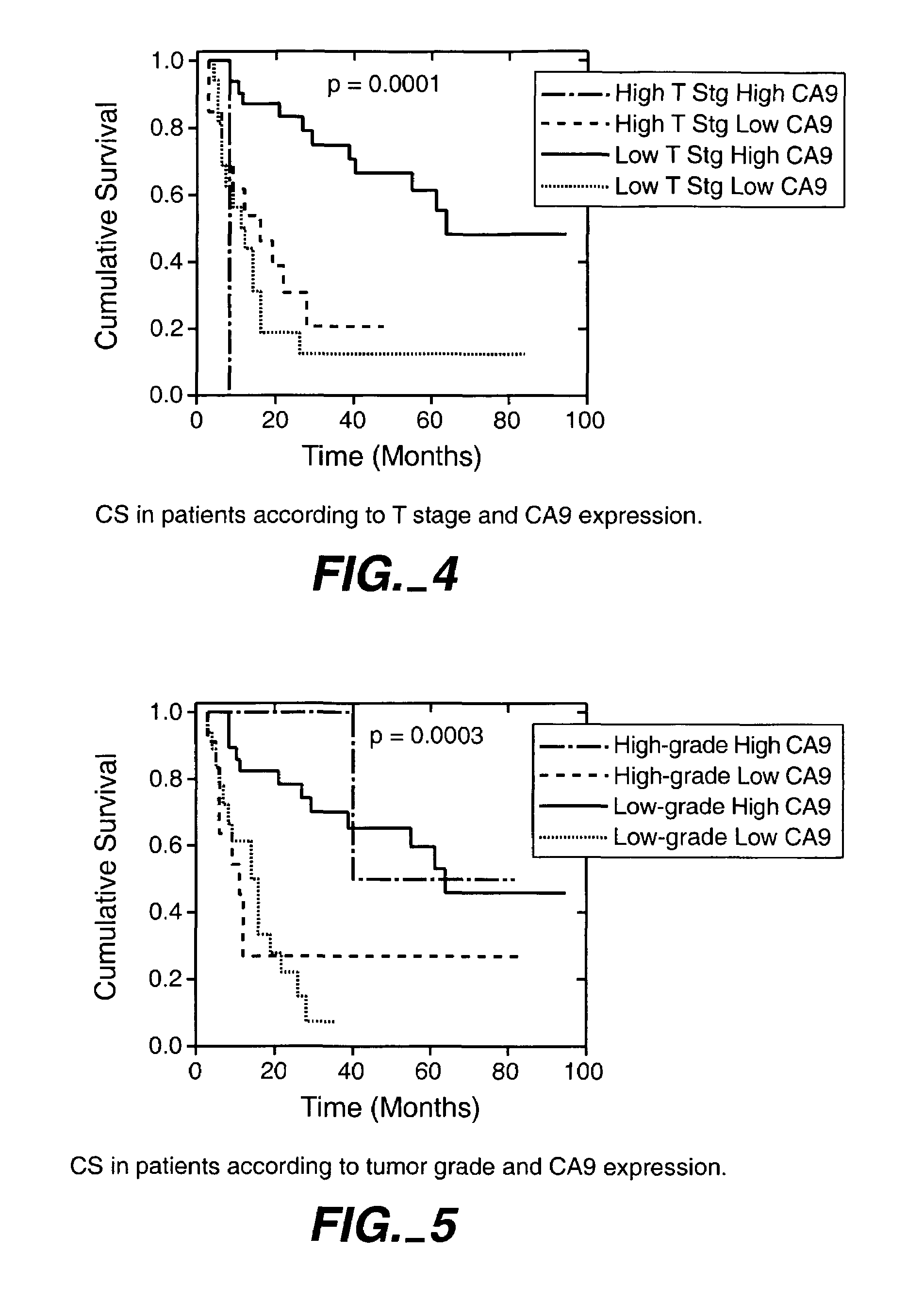 MN/CA IX/CA9 and Renal Cancer Prognosis