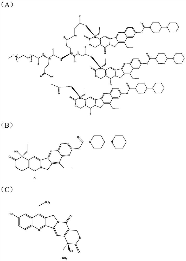 Quantitative analysis method for multivalent PEGylated irinotecan prodrug and metabolite thereof in biological sample